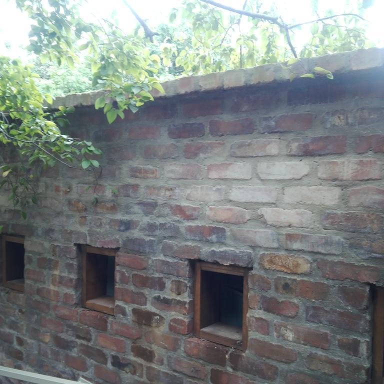 Zebrina Guest House Mbombela Exteriör bild